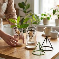 3Pcs Cone-shaped Avocado Growing Triangular Holder Floating Stable Gardening Vase Holders Plastic Soil-less Hydroponic Rack