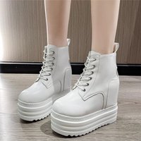 2025 Fashion Brand Punk Style Women 12CM Platform Wedges Boots Autumn Winter Soft Leather Female Lace Up High Heel Gothic Shoes