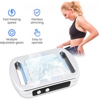 1 set Fat Freezing Machine Dissolve Fat Cold Therapy Massager Body Slimming Weight Loss Lipo Anti Free Cellulite Cryolipolysis