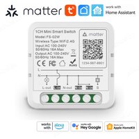 Matter WiFi Smart Switch 16A Smart Home Light Switch Relay Module Voice Control Work with Alexa Google Homekit Tuya Smartlife