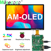 OLED Panel 10 Inch Raspberry Pi Amoled Touchscreen 2K IPS 330 Nits Brightness Laptops Tablets OLED Monitor