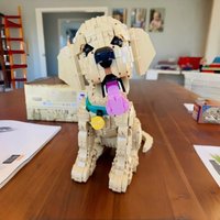 Realistic Golden Retriever Model Kits 2102PCS - Cute Puppy Dog Model Set 11384 Creative Gift for Adult Friends on Birthday