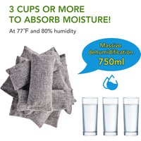 10pcs Natural Bamboo Charcoal Bags Air Purifying Activated Charcoal Odor Absorber Moisture Odor Eliminator for Car Closet Shoes