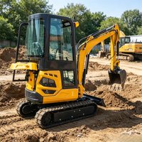 Customized Mini Excavator 1ton Kubota Engine Small Excavator 2 Ton Customized Mini Digger Crawler Excavator with Free Shipping