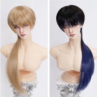 New Doll's Wig for 1/3 1/4 1/6 Bjd Doll Soft Silk Long Wolf Tail Diy Girl Toys Dress Up Play House Doll Accessories, No Doll