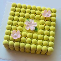Square Surface Bubble Texture Design French Mousse Cake Mold Silicone Cake Mold Kitchen Bakeware Dessert Decorating Tools