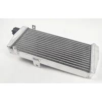 For Rotax Max EVO 125 Junior max Go-Kart 125 FIT 2011-2015 express logistics Aluminum Radiator Kart 12 13 14 11 15