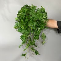 68cm Artificial Mosquito Repellent Plant Hanging Vine Fake Geranium Leaf Garland Greenery for Home Garden Wedding Decor