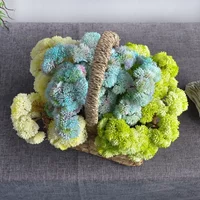 DIA 10CM Artificial Succulent Rice Grain Green Plants Micro Landscape Plant Arrangement Photography Home Decoration