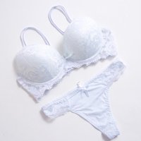 2024 Floral Embroidery Women Underwear Set Sexy Lace Push Up Bra Set Panties Sexy Push Up Brassiere Wirefree Soft Underwear Set