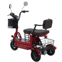 800W Small Electric Tricycle Scooter Parent Child Removable Battery 48v 60km Blue/Gray 2 Seat Mobility Scooter Elderly 3 Wheels