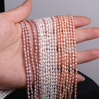 Clean Natural Freshwater Pearl High Quality Rice Punch Isolated Bead Women Gift Make Jewelry DIY Bracelet Necklace Accessories