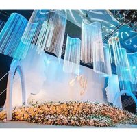 1PC String Curtain Flash Line Shiny Tassel Strings Door Window Decorective Divider Curtain Glitter Home Decoration