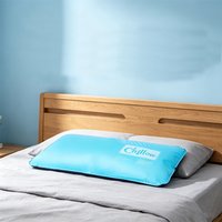 Cooling Pillow Gel Cooling Mat and Cooling Pillow Sleeping Pad Easy-to-Use Summer Cool Pillows Cold Pillow for Kids Students
