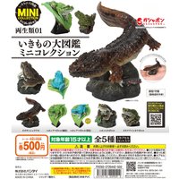 Original capsule toys Mini Collection Amphibian 01 tree frog giant salamander toad stone leaves stand ornaments gashapon figures