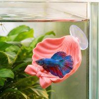 Betta Hammock Soft Aquarium Rest Bed Fish Breeding Pad Suction Cup Aquarium Floating Cave Fish Shrimp Hideout Shelter Hammock
