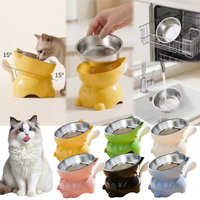 Elevated Stainless Steel Cat Bowl Raised Tilted Food Water Feeder for Cats Anti Vomiting Neck Protection Design Pet Bowls