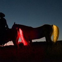 100Cm Led Horse Tail Decorative Light Strip, Horse Tail Usb Light Decorative Strip, Equestrian Outdoor Sports Night Riding Gear