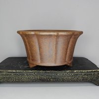 Polygonal Luxury Gold Color High Quality Unglzed Gold Clay Bonsai Pot