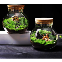 Micro Landscape Glass Bottles with Cork Lid Glass Vase Bryophyte Moss Plant Container Glass Terrarium Bonsai Desktop Decoration