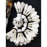 RSL Yashilong DTL8A Badminton Shuttlecock 8 Goose Feathers Training Stable Endurance Competition Training Ball Sports Fitness