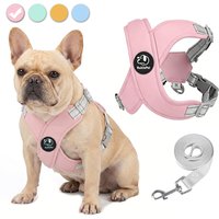 Dog Harness Leash Set Reflective Adjustable Pet Vest Harness with Metal D Ring Breathable Puppy Cat Walking Chest Strap Supplies