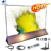 High Contrast Transparent LED Film Screen for Hotel Lobby Glass Partition Advertising