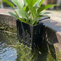 Wall-Mounted Aquarium Plant Basket Water Culture Planter Planter Containers Aquatic Plant Holder Self Watering Plastic