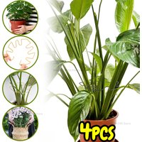 Adjustable Metal Plant Stem Support Flower Climbing Stem Holder Vine Branch Iron Hooks Garden Plant Climbing Plant Trainer