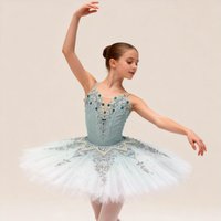 Blue Fairy Bluebird Ballet Plate Skirt Tutu Skirt Competition Skirt Performance Dress Adult Girl Performance Dress