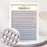 Lashprofessor Pointy Base Premade Fans 3D 5D 6D 8D 10D 12D Wimpernverlängerung Russisches Volumen Mittelstiel Falsche Nerzwimpern Fans