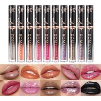 1Pc Lip Gloss Pearlescent particles shimmer Suitable for party, stage, Valentine's Day gift, daily wear