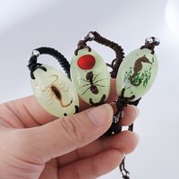 Insect Bracelet Scorpion Ant Spider Glow in The Dark Handmade Resin Insect Amber Bracelet Luminous Green Bracelets Couple Gifts
