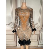 Silver Crystals Black Feather Evening Birthday Celebrate Dress Stretch Outfit Collection Dancer Dresses