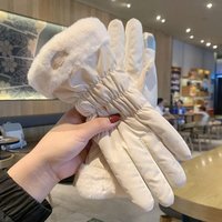 AliExpress NONE Ski Gloves Women Winter Fleece Thickened Warm Plush Cotton Waterproof Touch-Screen Gloves For Outdoor Riding Mountaineering