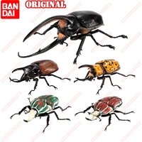 BANDAI Original Toys Ikemono Taisyou ADVANCE Dynastes Neptunus Gacha Lucky Draw Movable Anime Action Model Figures Collection