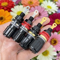 EIZZ Speaker Terminal Binding Post Banana Plug Connector EZ-310 EZ-310A 24K Gold Plated Rhodium Plated Audio Amplifier HIFI DIY