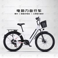 Electric Bicycle 24/26 Inch 36/48V Hidden Non-removable Lithium Battery Commuter Bicycle