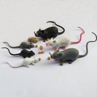 Figurine d'Auckland en plastique PVC simulé, rat blanc et noir, modèle de souris Alberchilla, jouets d'Halloween, décoration d'intérieur, 3 pièces par ensemble