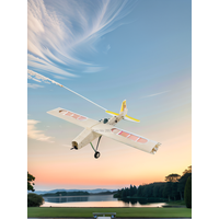 Laser-Cut Balsa RC Airplane Kit for Beginners, Easy Assembly Training Model, DIY Scale Aircraft Building Project with Manual