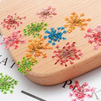 12PCS 10-15MM Natural Nails Dry Flower Fresh Dried Babysbreath Lace Flowers For Nail Art Decoration Manicure Charms Accessories