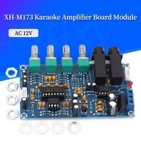 XH-M173 Karaoke Reverb Board PT2399 Microphone Amplifier Dual Mic Echo Delay Module