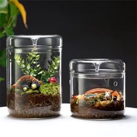 Szklane butelki Kreatywność Kolekcja rosy Wazon szklany Mikro krajobraz Soczysty mchu Bansai Krajobraz Szklane terrarium Wystrój domu