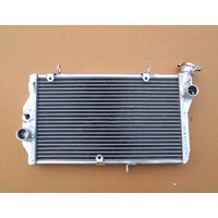For 1997-2003 Honda CBR1100XX CBR 1100 XX Aluminum Radiator Cooler Cooling Coolant 1997 1998 1999 2000 2001 2002 2003