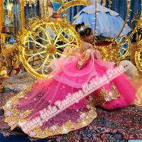 Rose Pink Girl Party Long Dresses Gold Appliqued Wedding 2025 Customized Birthday Pageant Feast Events Dress