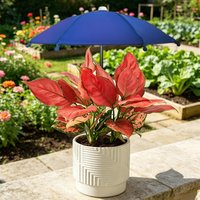 Plant Umbrella Portable Water Resistant Garden Umbrellas for Plants Flowers for Patio Balcony Courtyard Backyard Porch Roof