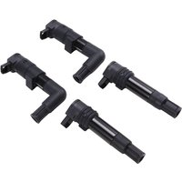 Kit d'Allumage pour Moto BMW, 1 Ensemble, Canon, GS, R, R12, R12T, 1998-2013, 7715853-01, 7715855-01, 7715856-02