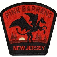 1PC New Jersey Pine Forest Wilderness Tour Embroidered Patch Iron On Badge DIY Gift For Clothes Cap Bag Jacket Trucker Hat