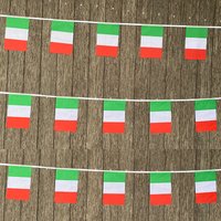 Xvggdg 20 pièces/ensemble Drapeaux italiens en guirlande, fanions, bannières, guirlandes pour fêtes et vacances