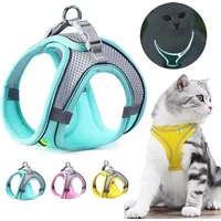 Cat Harness and Belt Set Breathable Accessories for Cats Pet Products Necklace Collar Pets Supplies Home Collars Things Cats
